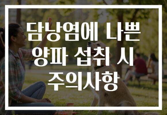담낭염에 나쁜 양파 섭취 시 주의사항