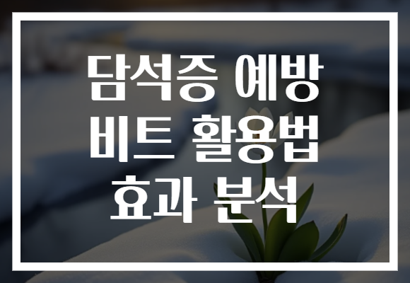 담석증 예방 비트 활용법 효과 분석