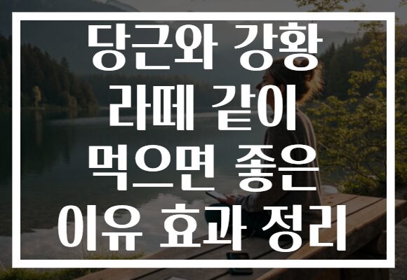 당근와 강황 라떼 같이 먹으면 좋은 이유 효과 정리