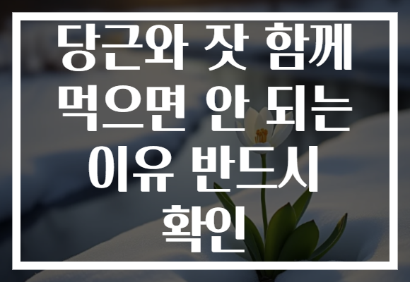당근와 잣 함께 먹으면 안 되는 이유 반드시 확인
