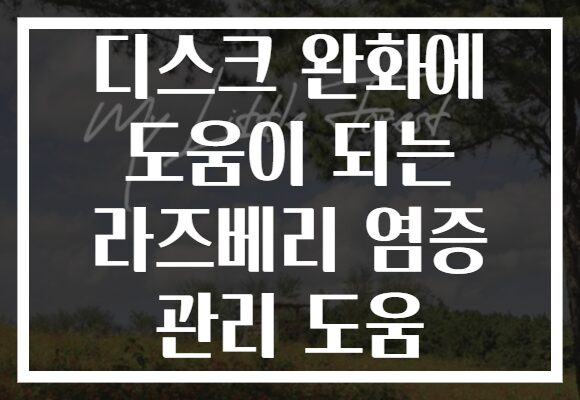 디스크 완화에 도움이 되는 라즈베리 염증 관리 도움