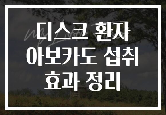 디스크 환자 아보카도 섭취 효과 정리