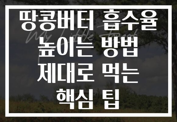땅콩버터 흡수율 높이는 방법 제대로 먹는 핵심 팁