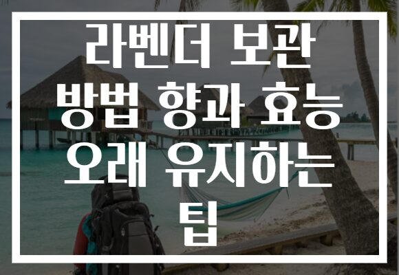 라벤더 보관 방법 향과 효능 오래 유지하는 팁