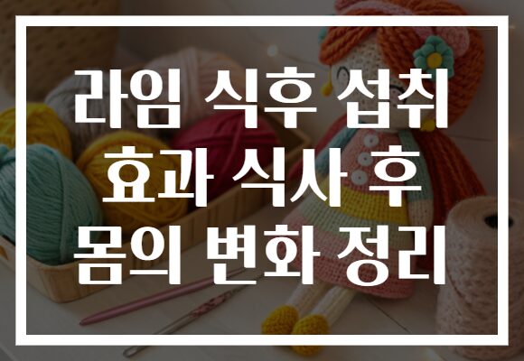 라임 식후 섭취 효과 식사 후 몸의 변화 정리