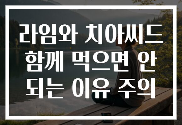 라임와 치아씨드 함께 먹으면 안 되는 이유 주의