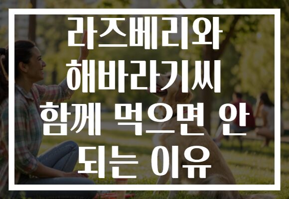 라즈베리와 해바라기씨 함께 먹으면 안 되는 이유