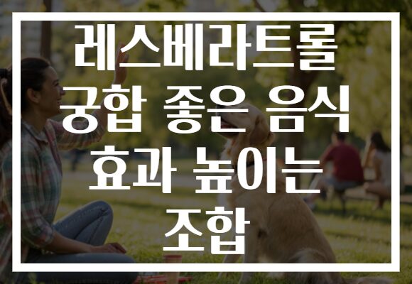 레스베라트롤 궁합 좋은 음식 효과 높이는 조합