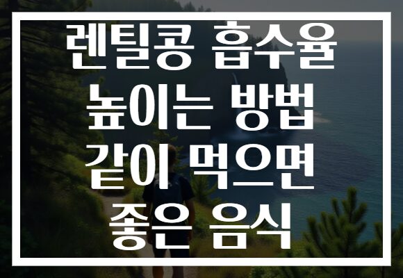 렌틸콩 흡수율 높이는 방법 같이 먹으면 좋은 음식