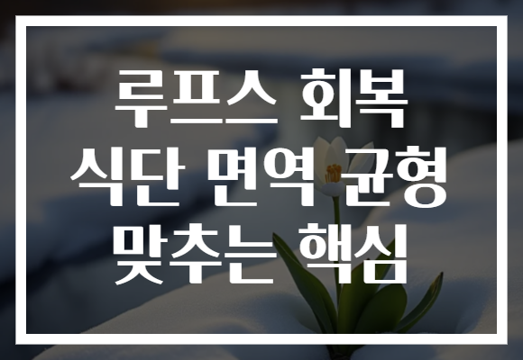 루프스 회복 식단 면역 균형 맞추는 핵심