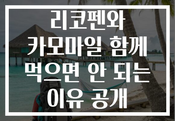 리코펜와 카모마일 함께 먹으면 안 되는 이유 공개