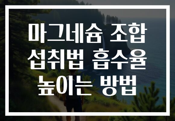 마그네슘 조합 섭취법 흡수율 높이는 방법