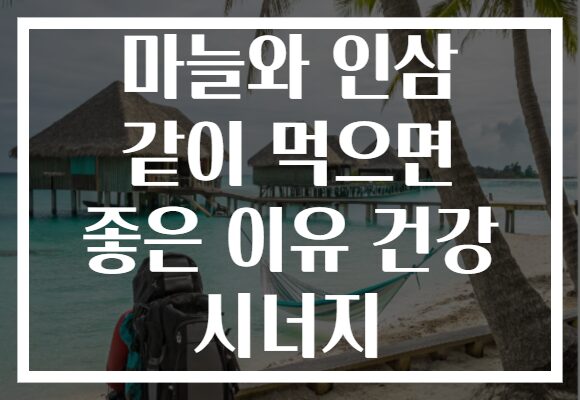마늘와 인삼 같이 먹으면 좋은 이유 건강 시너지