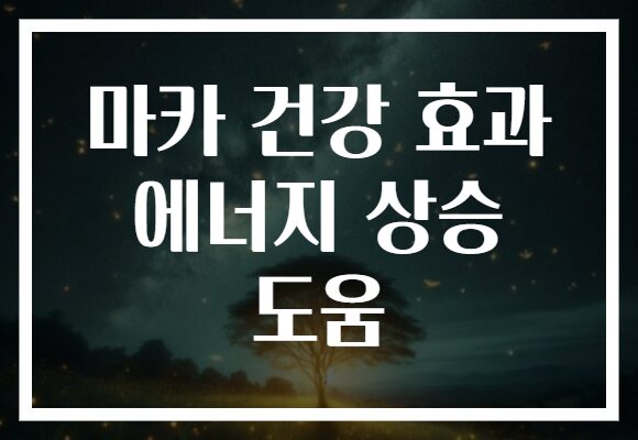 마카 건강 효과 에너지 상승 도움