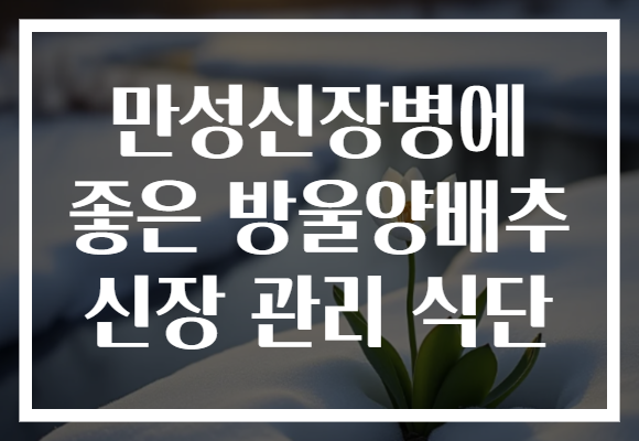 만성신장병에 좋은 방울양배추 신장 관리 식단
