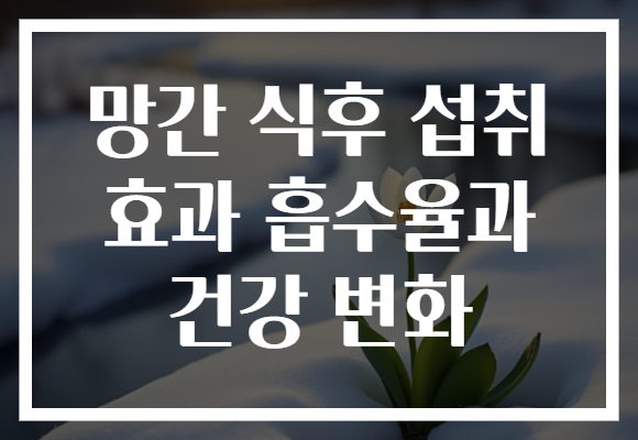 망간 식후 섭취 효과 흡수율과 건강 변화
