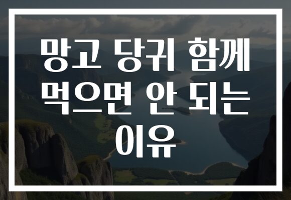 망고 당귀 함께 먹으면 안 되는 이유