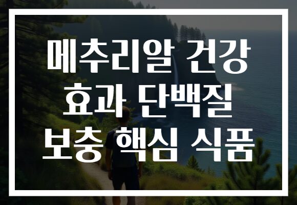 메추리알 건강 효과 단백질 보충 핵심 식품