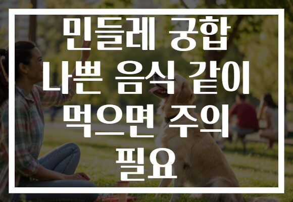 민들레 궁합 나쁜 음식 같이 먹으면 주의 필요
