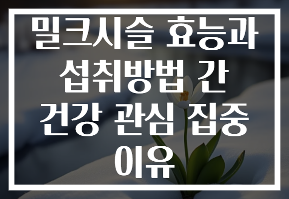 밀크시슬 효능과 섭취방법 간 건강 관심 집중 이유