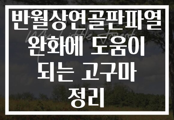 반월상연골판파열 완화에 도움이 되는 고구마 정리