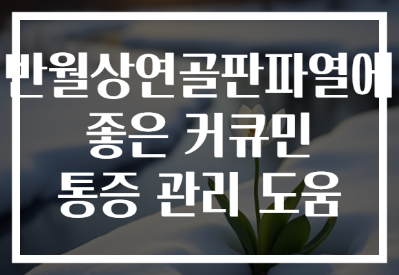 반월상연골판파열에 좋은 커큐민 통증 관리 도움