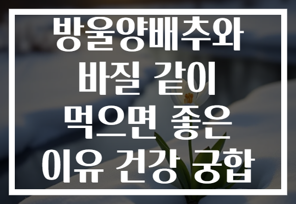 방울양배추와 바질 같이 먹으면 좋은 이유 건강 궁합
