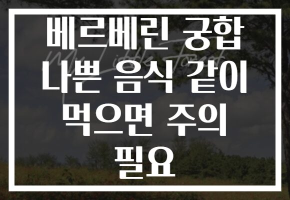 베르베린 궁합 나쁜 음식 같이 먹으면 주의 필요