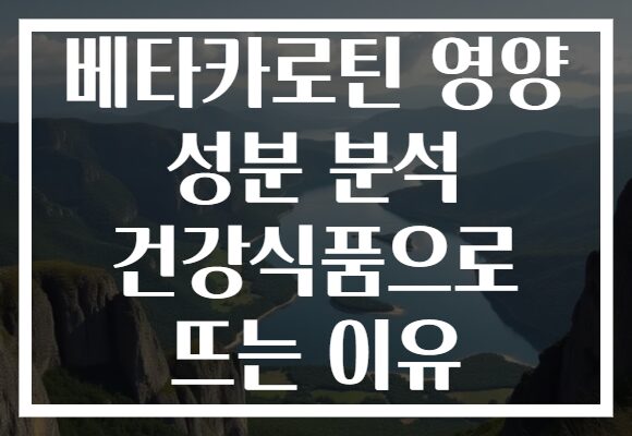 베타카로틴 영양 성분 분석 건강식품으로 뜨는 이유