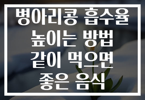 병아리콩 흡수율 높이는 방법 같이 먹으면 좋은 음식