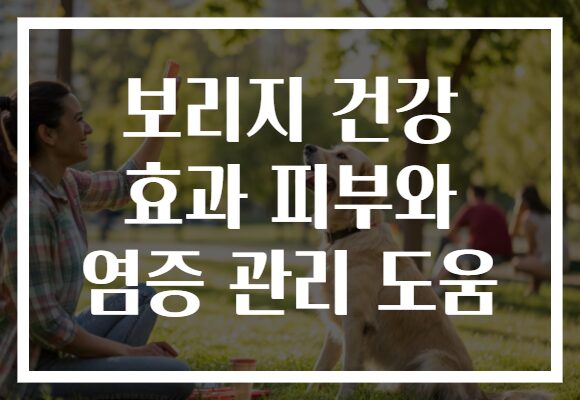 보리지 건강 효과 피부와 염증 관리 도움