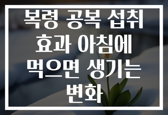 복령 공복 섭취 효과 아침에 먹으면 생기는 변화