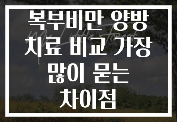 복부비만 양방 치료 비교 가장 많이 묻는 차이점