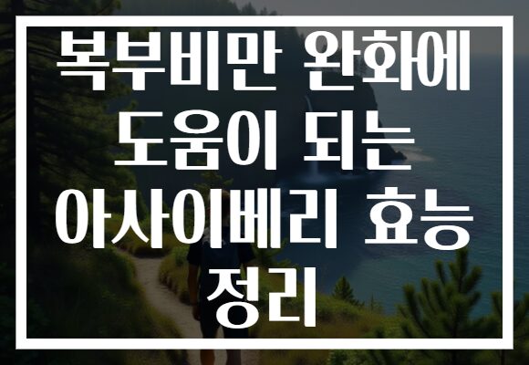 복부비만 완화에 도움이 되는 아사이베리 효능 정리