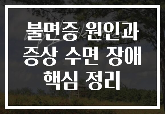 불면증 원인과 증상 수면 장애 핵심 정리