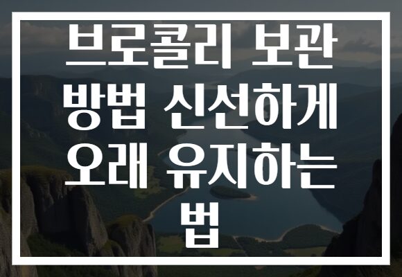 브로콜리 보관 방법 신선하게 오래 유지하는 법