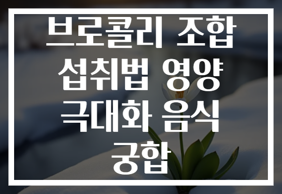 브로콜리 조합 섭취법 영양 극대화 음식 궁합