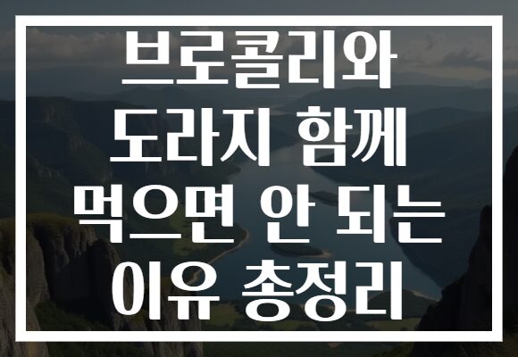 브로콜리와 도라지 함께 먹으면 안 되는 이유 총정리