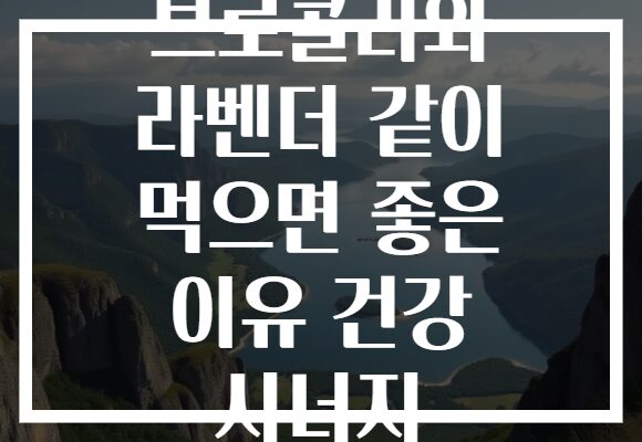 브로콜리와 라벤더 같이 먹으면 좋은 이유 건강 시너지