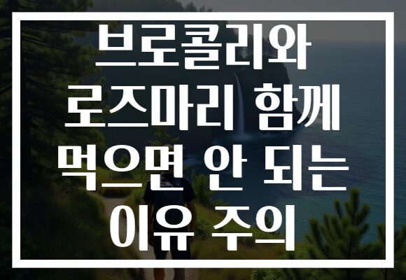 브로콜리와 로즈마리 함께 먹으면 안 되는 이유 주의