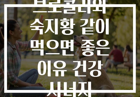 브로콜리와 숙지황 같이 먹으면 좋은 이유 건강 시너지