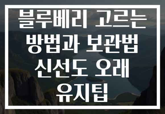 블루베리 고르는 방법과 보관법 신선도 오래 유지팁