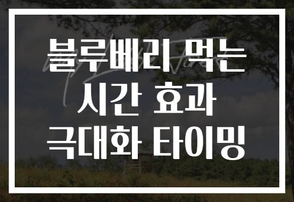 블루베리 먹는 시간 효과 극대화 타이밍