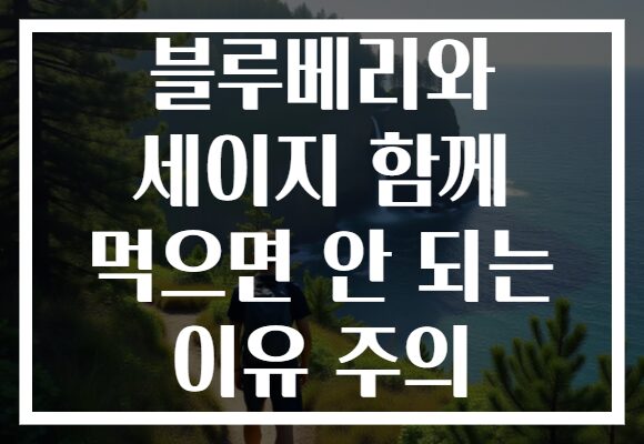 블루베리와 세이지 함께 먹으면 안 되는 이유 주의