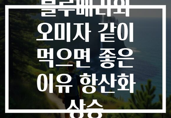블루베리와 오미자 같이 먹으면 좋은 이유 항산화 상승