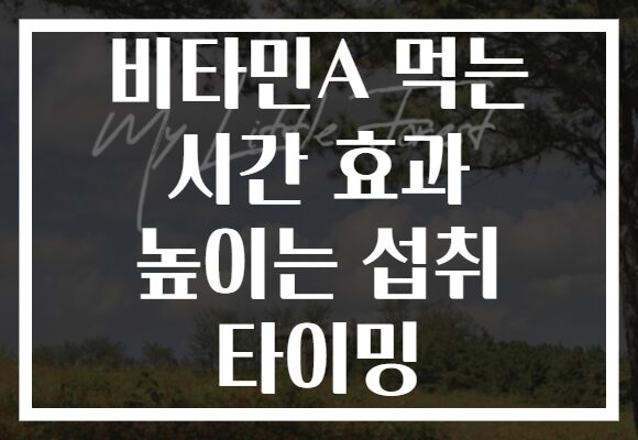 비타민A 먹는 시간 효과 높이는 섭취 타이밍
