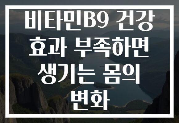 비타민B9 건강 효과 부족하면 생기는 몸의 변화