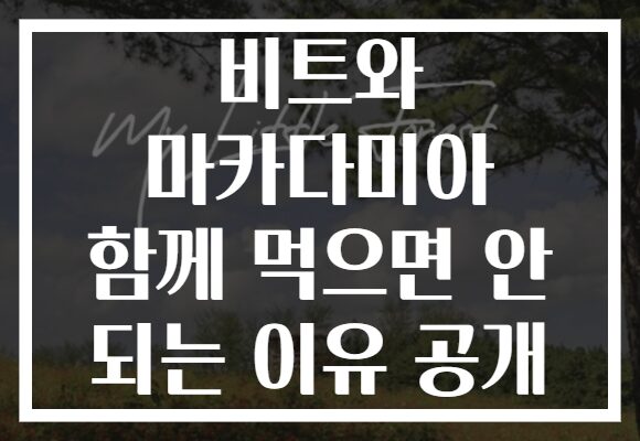 비트와 마카다미아 함께 먹으면 안 되는 이유 공개
