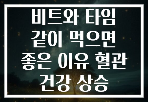 비트와 타임 같이 먹으면 좋은 이유 혈관 건강 상승