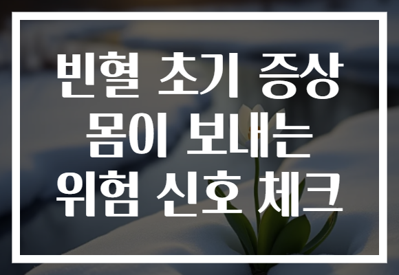 빈혈 초기 증상 몸이 보내는 위험 신호 체크